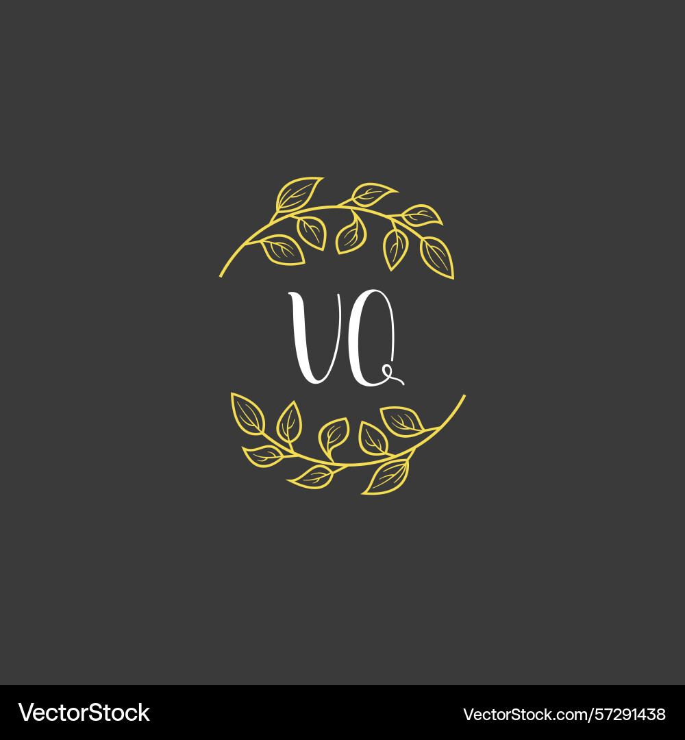 Botanical monogram logos with initial vq Botanical monogram logos with initial vq Vector Image