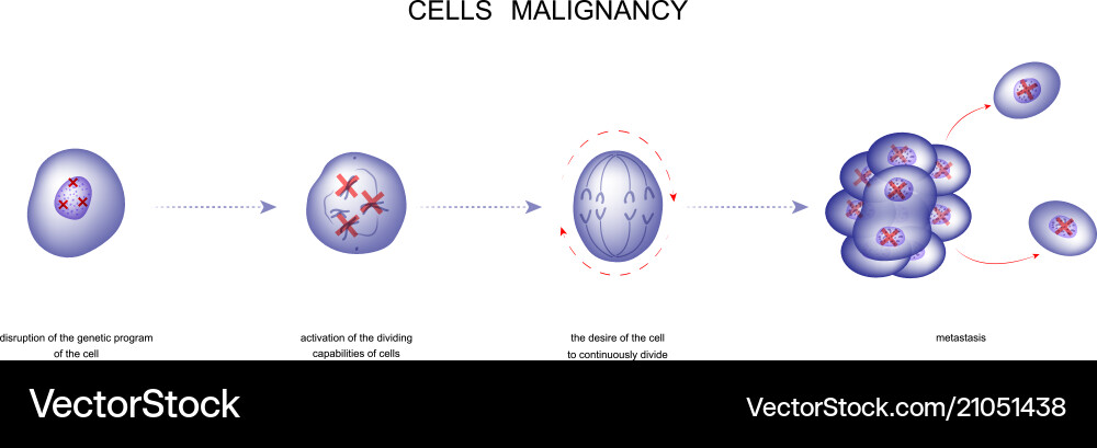 Cell malignancy process Cell malignancy process vector image