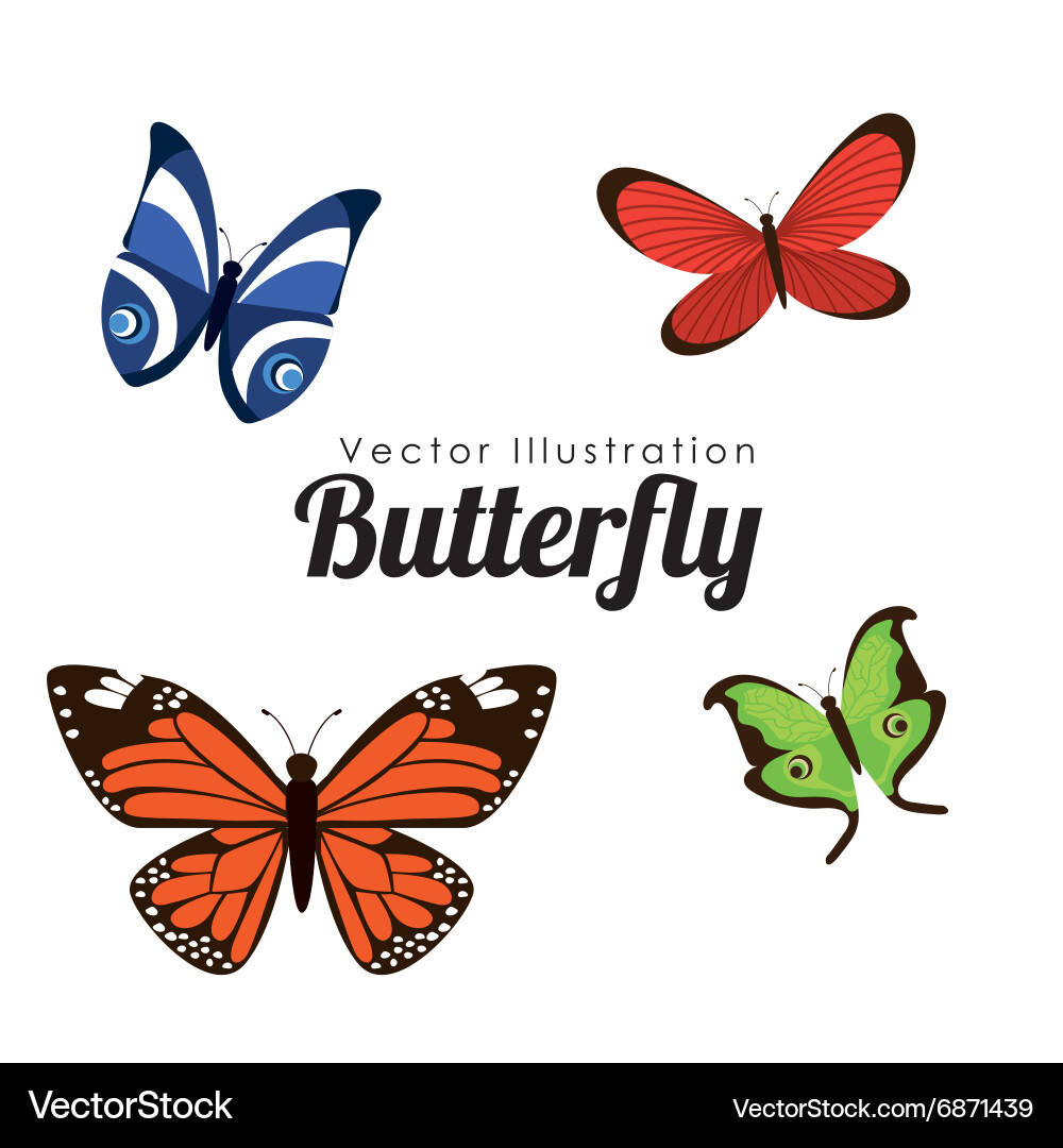 Butterfly silhouettes design Vector Image