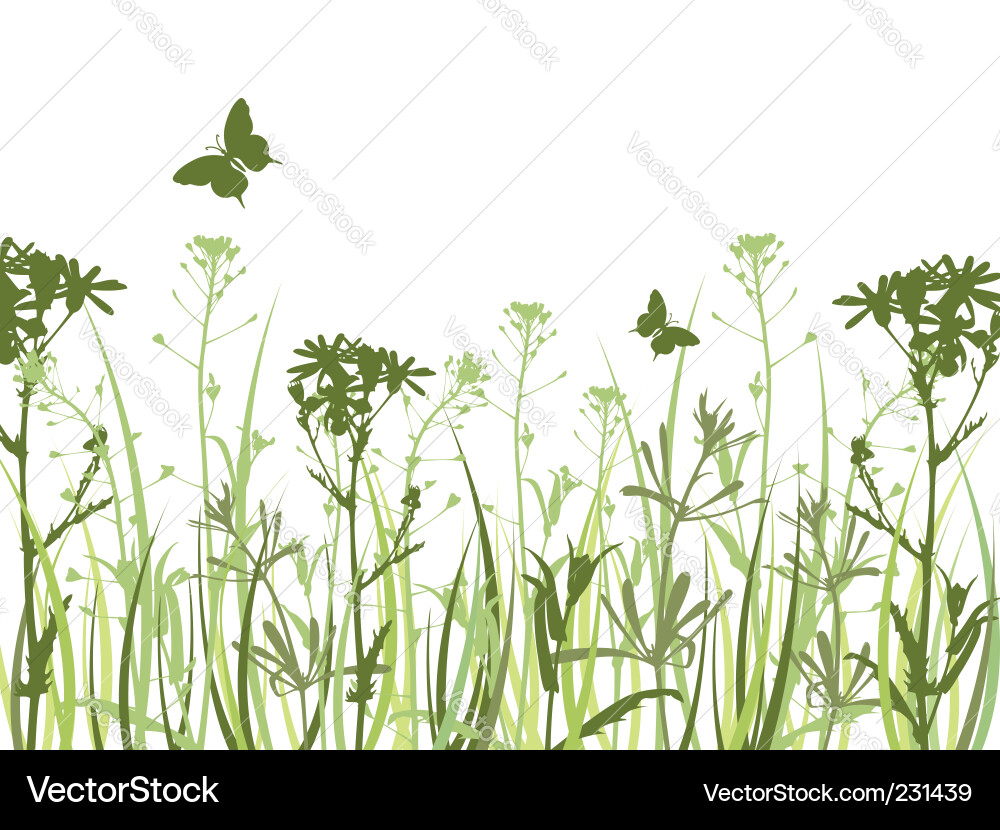 Chamomile Meadow with Butterflies Vector Image