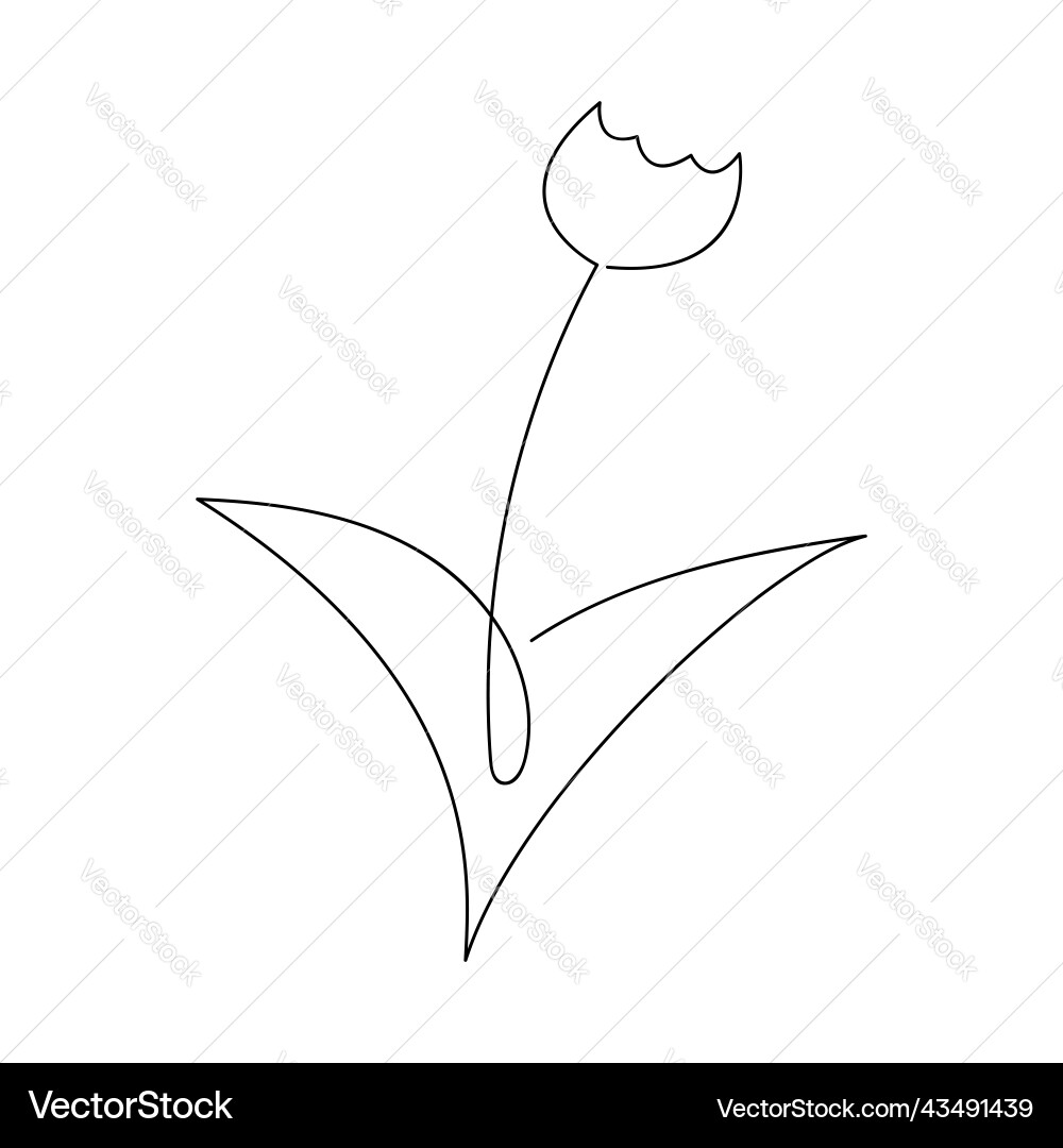 One line tulip flower silhouette icon hand drawn One line tulip flower silhouette icon hand drawn vector image