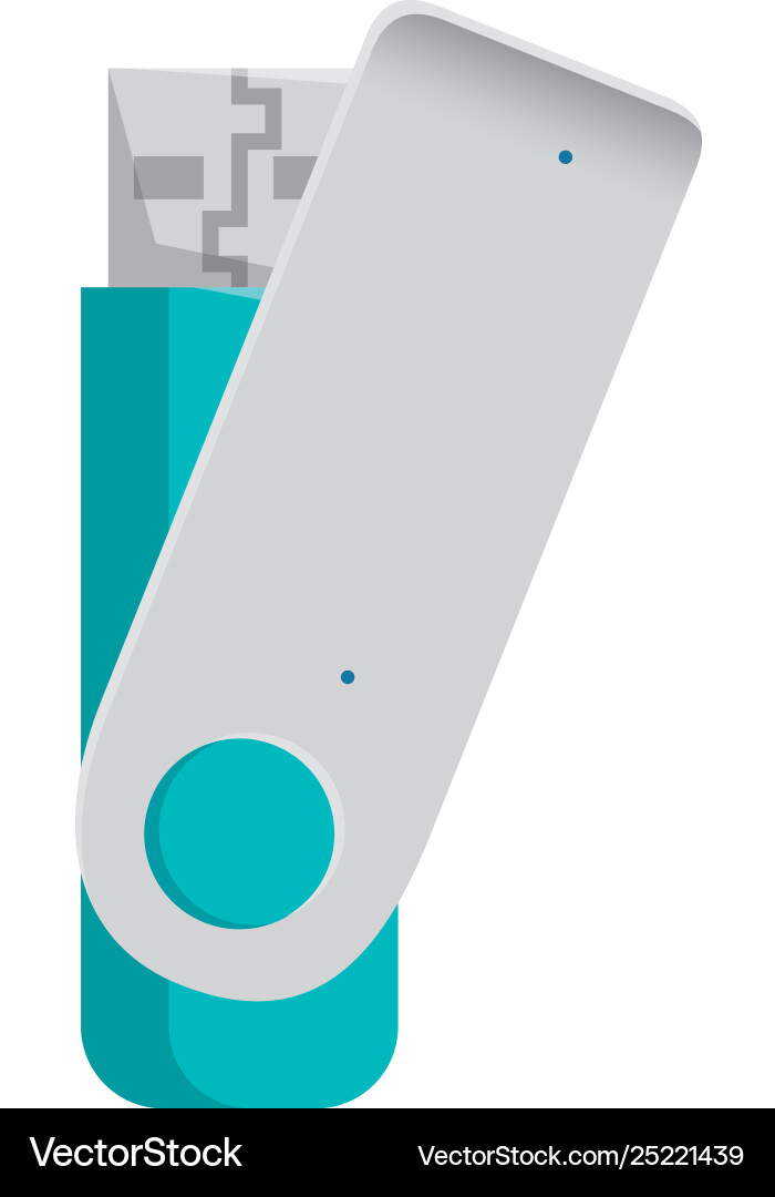 Usb memory flash icon Usb memory flash icon Vector Image