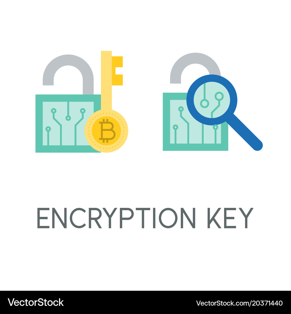 Encryption key cryptocurrency icon flat design – Royalty-Free Vector |  VectorStock