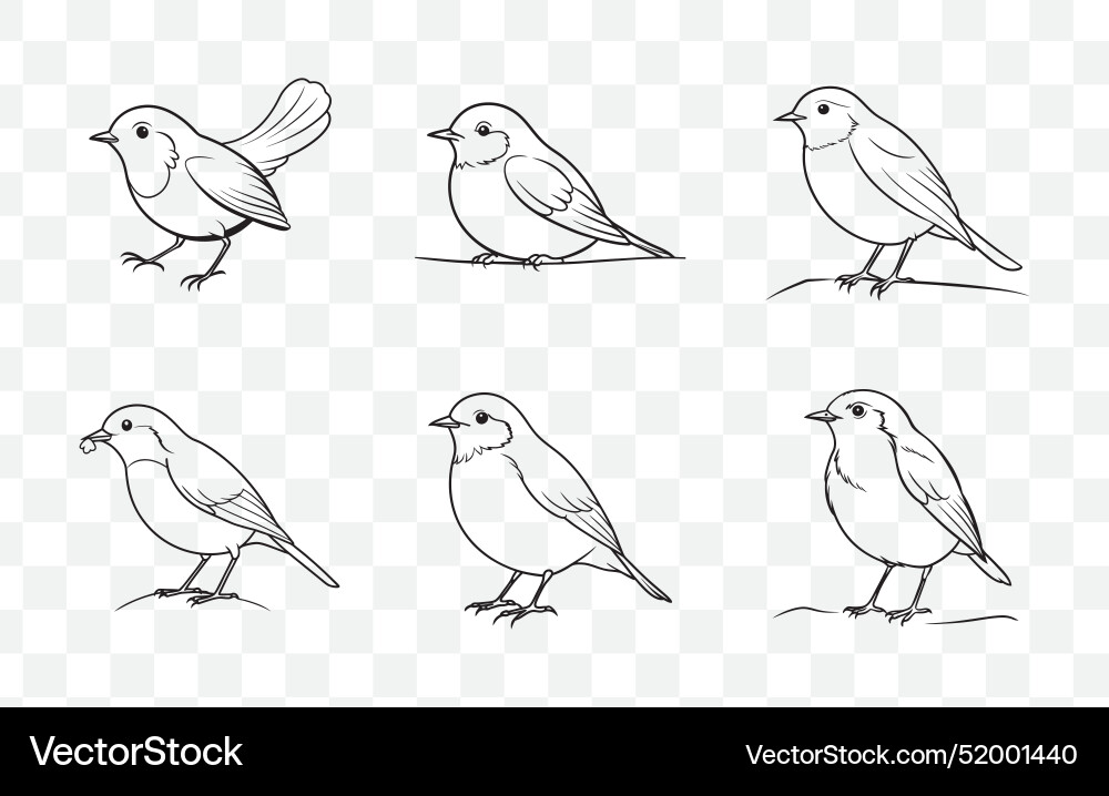 Print robin line art set vector image