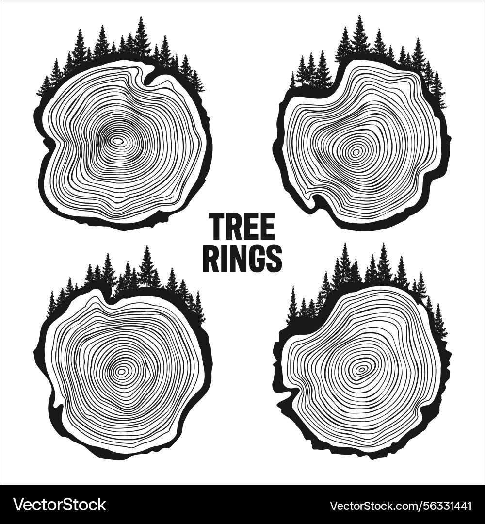 Round tree trunk cuts with trees and forest sawn Round tree trunk cuts with trees and forest sawn vector image