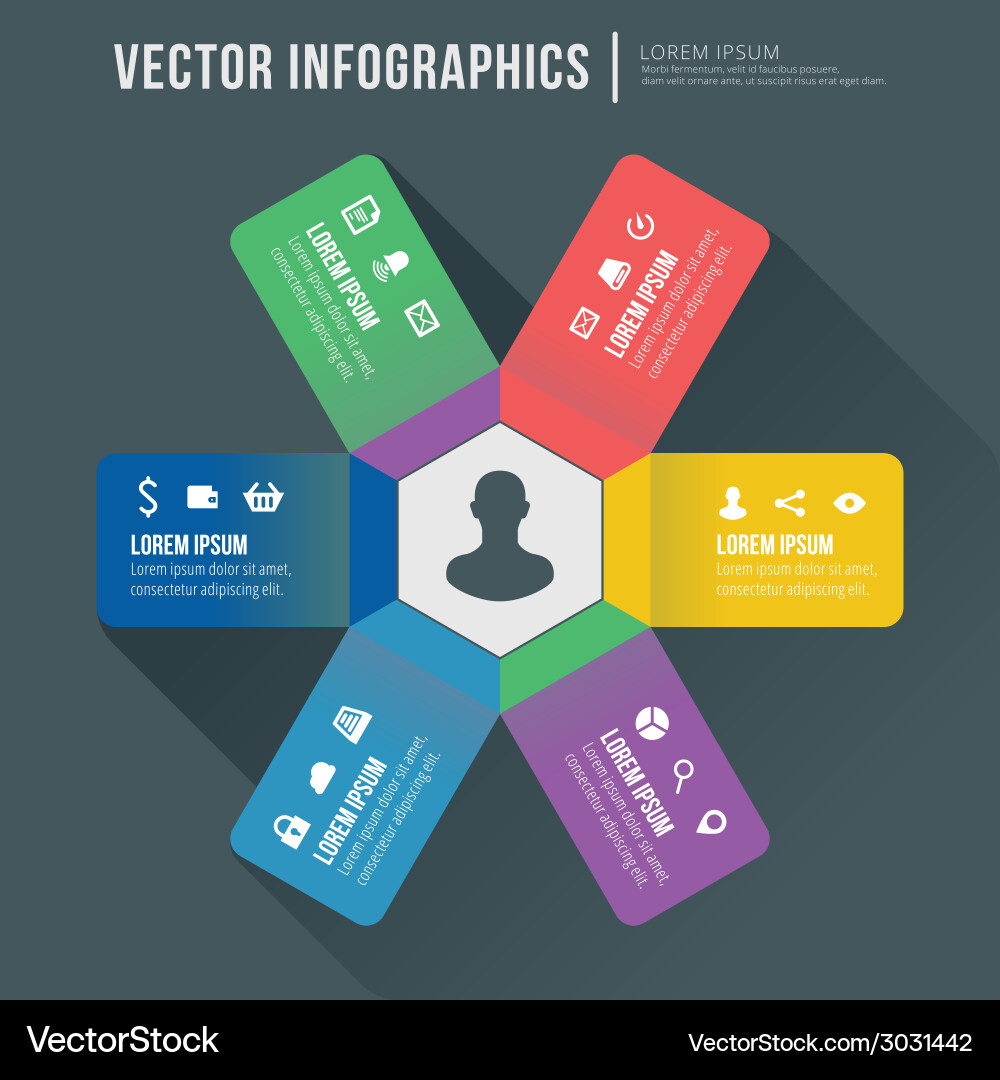 Abstract infographic flat design workflow layout vector image