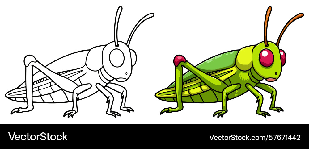 Grasshopper line art with colored Vector Image