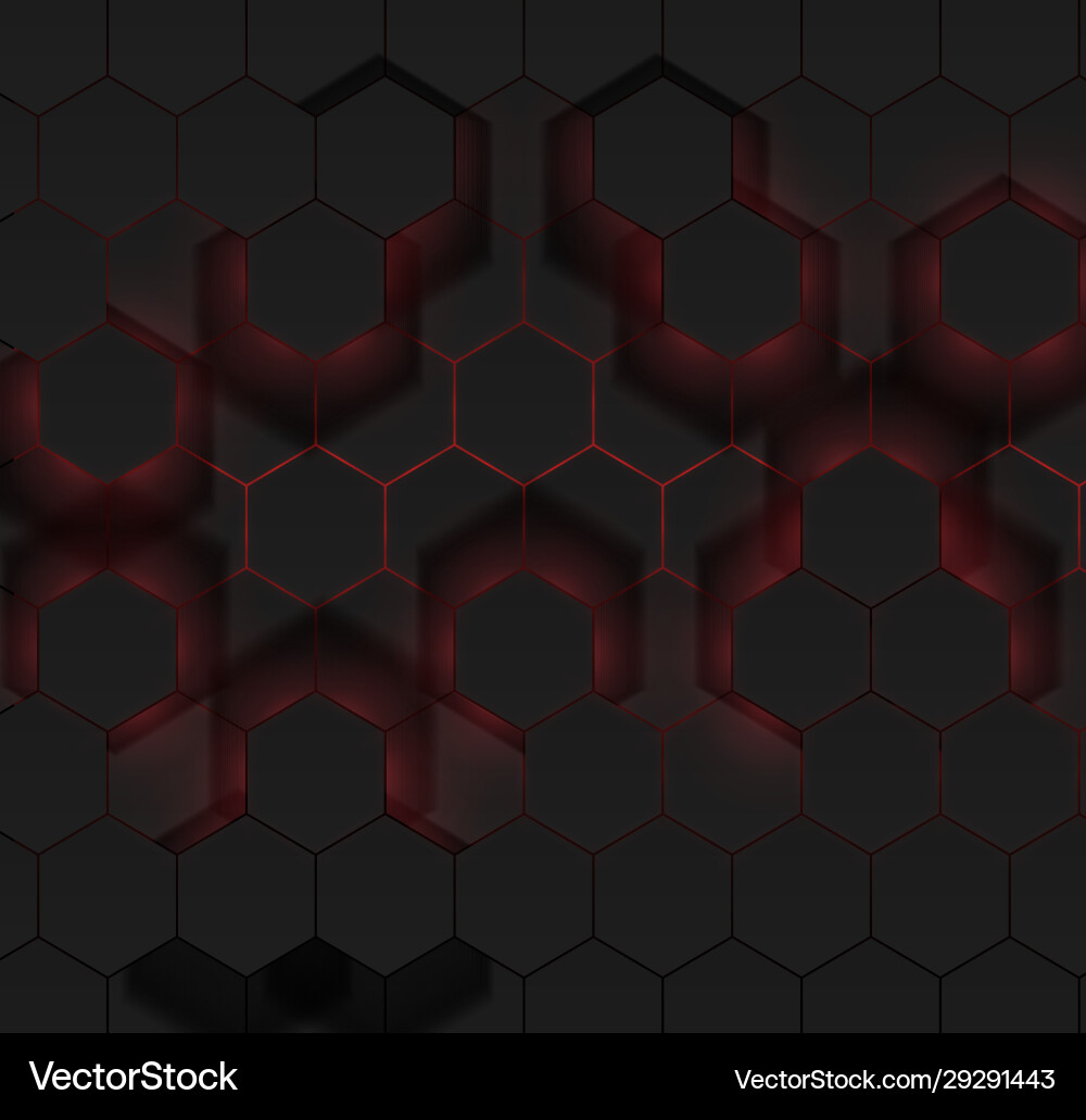 Futuristic Hexagonal Grid vector image