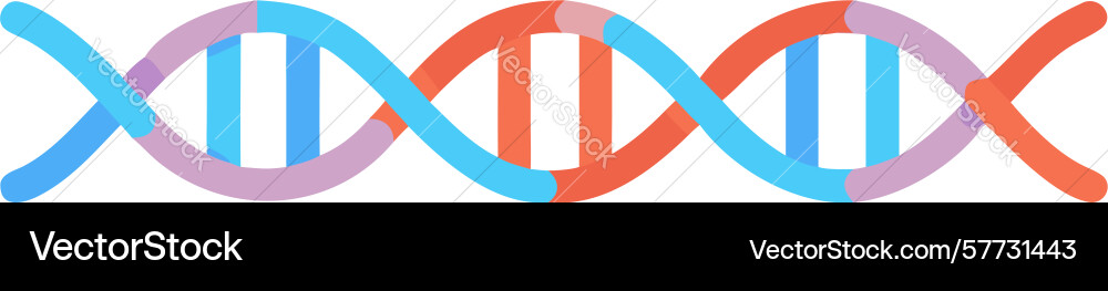 Genetic double helix dna structure abstract vector image
