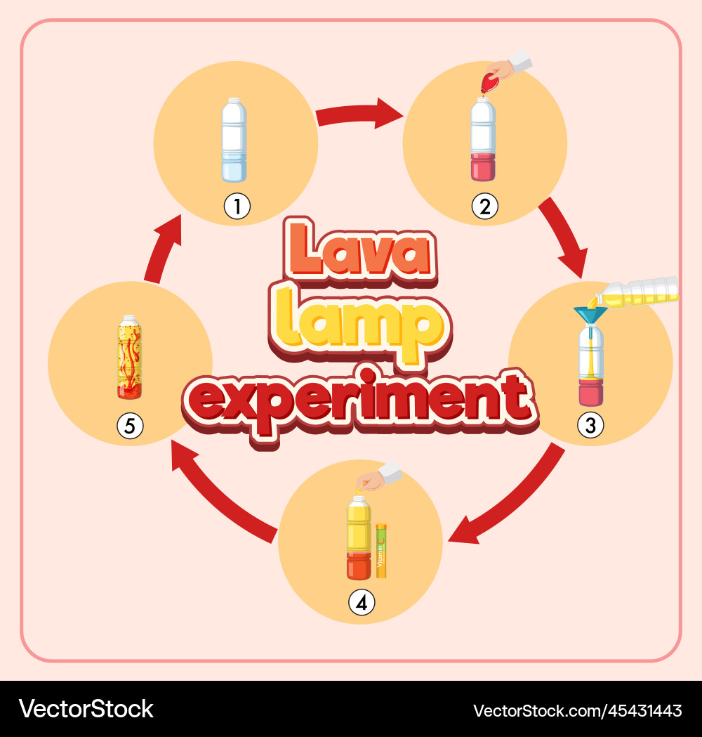 Lava lamp science experiment vector image