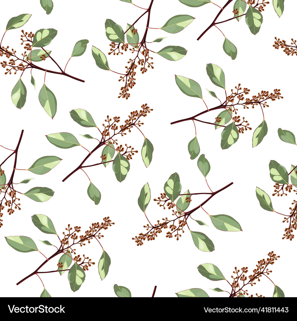 Seamless pattern with eucalyptus branch in bloom Vector Image