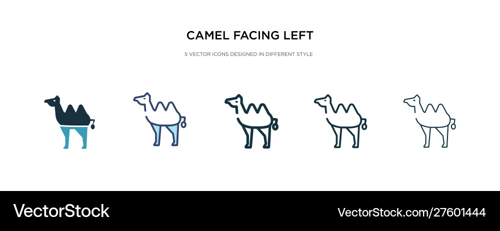 Camel facing left icon in different style two Vector Image