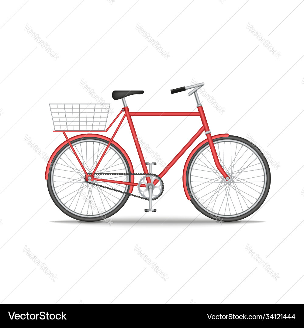 City old bike with a basket on trunk isolated City old bike with a basket on trunk isolated vector image
