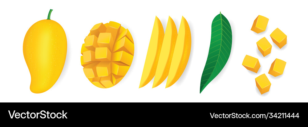 Mango fresh fruit graphic Royalty Free Vector Image