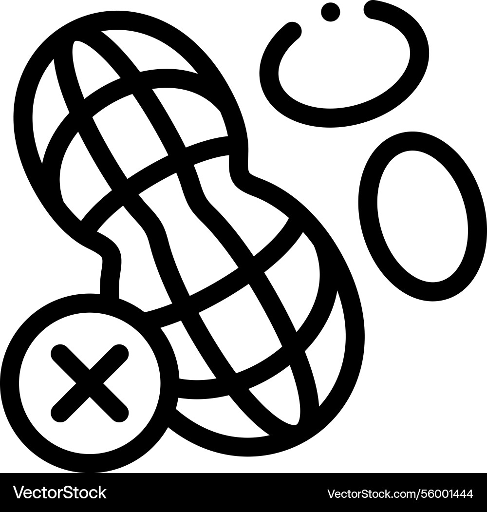 Nut icon thin linear style design isolated Nut icon thin linear style design isolated vector image