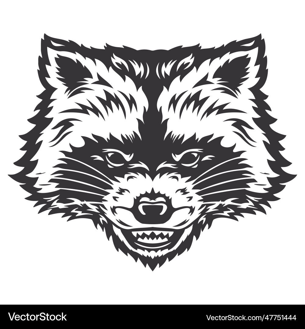 Raccoon Head Line Art Vector Image