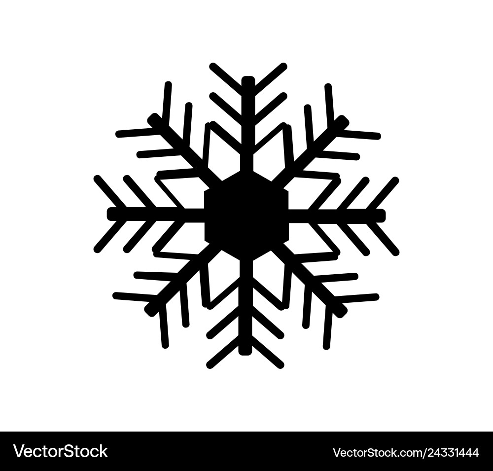 Snowflake icon Snowflake icon vector image
