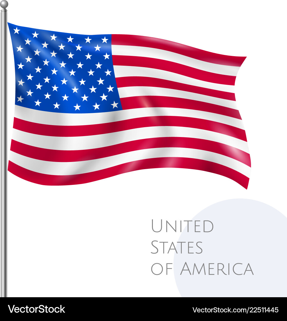 American Flag - USA vector image