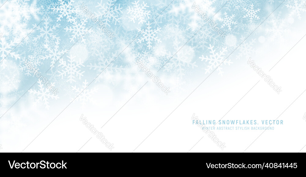 Snowstorm and blizzard falling snowflakes light vector image