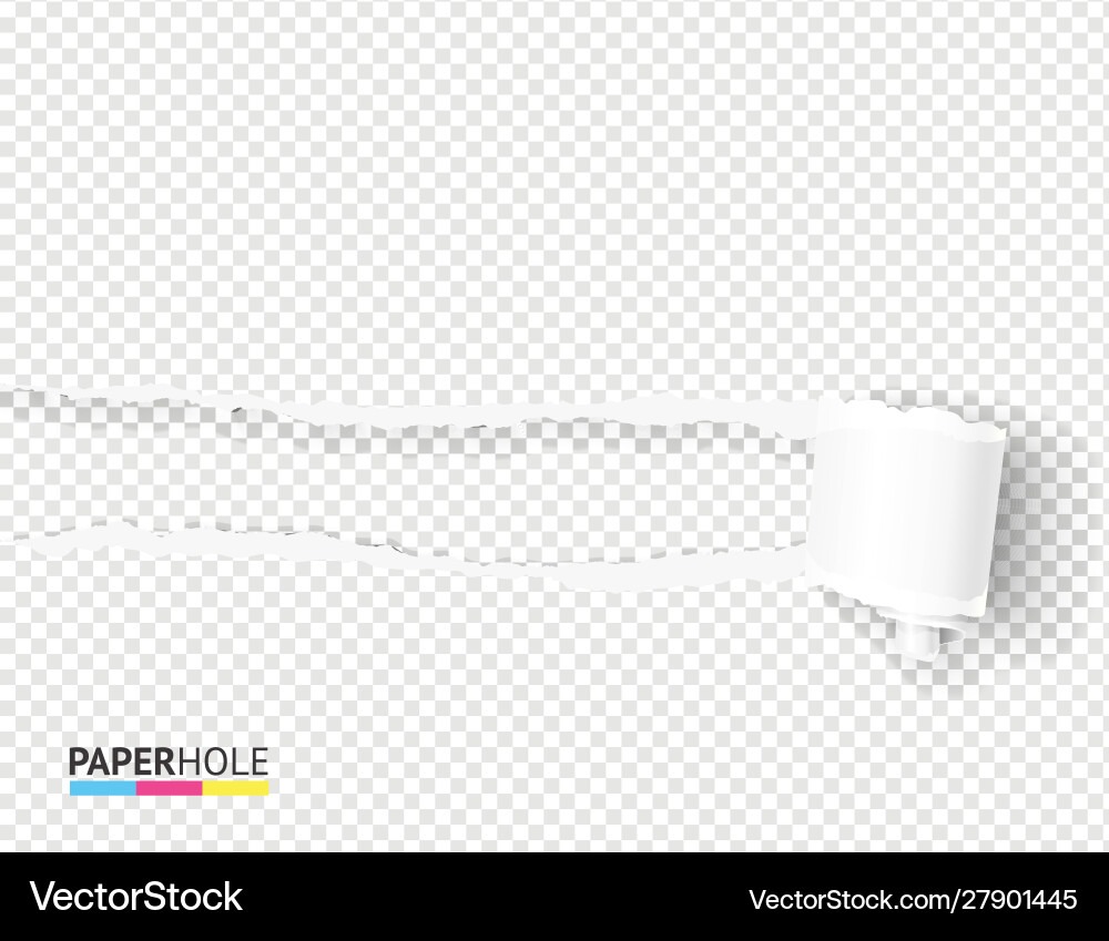 Torn Paper Scroll with Hole vector image