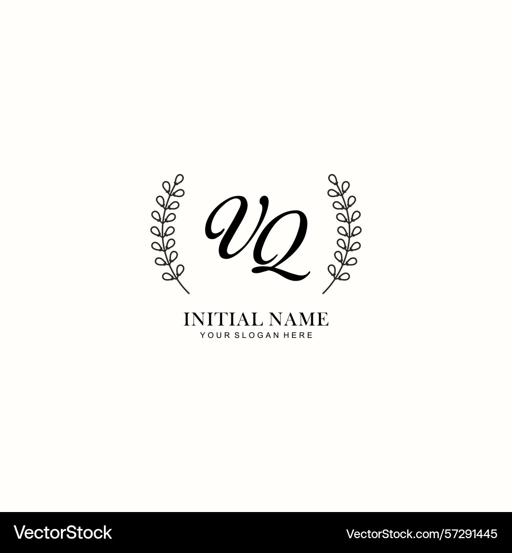 Vq initial logo templates with botanical elements Vector Image
