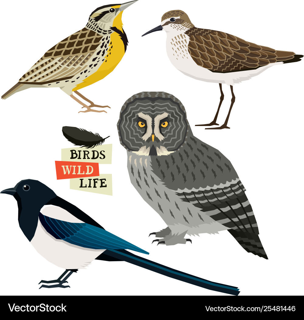 Birds Collection - Isolated Objects vector image