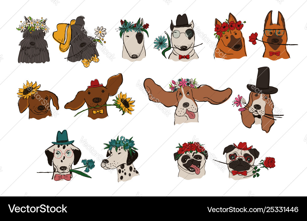 Collection dog couple portraits vector image