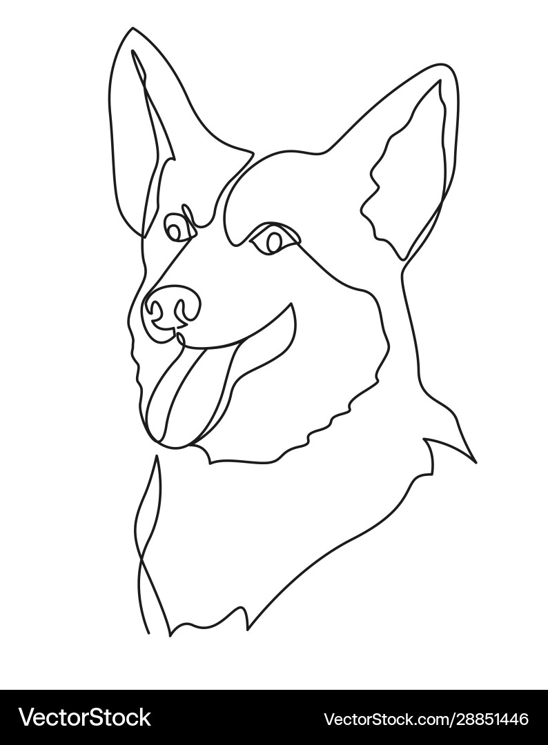 Continuous Line Corgi Portrait vector image