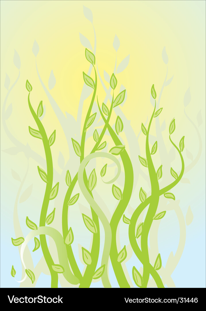 Elegant Floral Scroll Pattern Vector Image