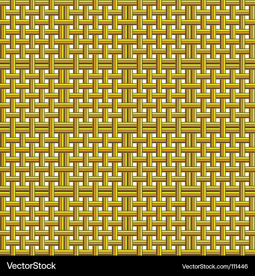Golden net vector image
