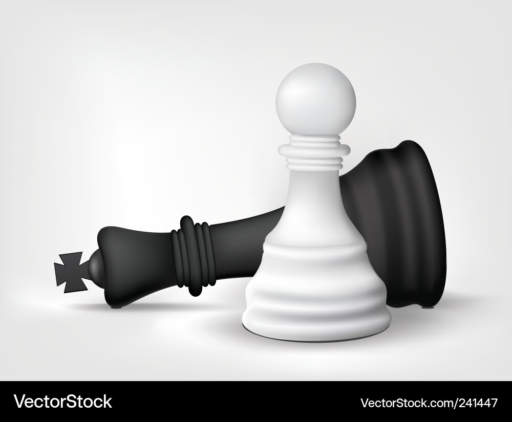 Schachfigur und König Vektorbild