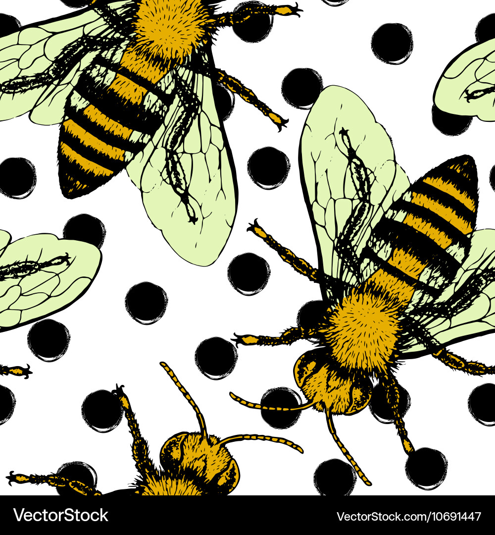 Seamless pattern with bees Vector Image