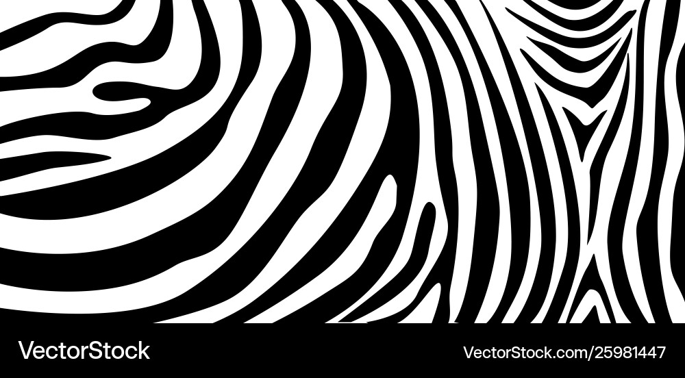 Zebra pattern texture repeating simple Zebra pattern texture repeating simple vector image