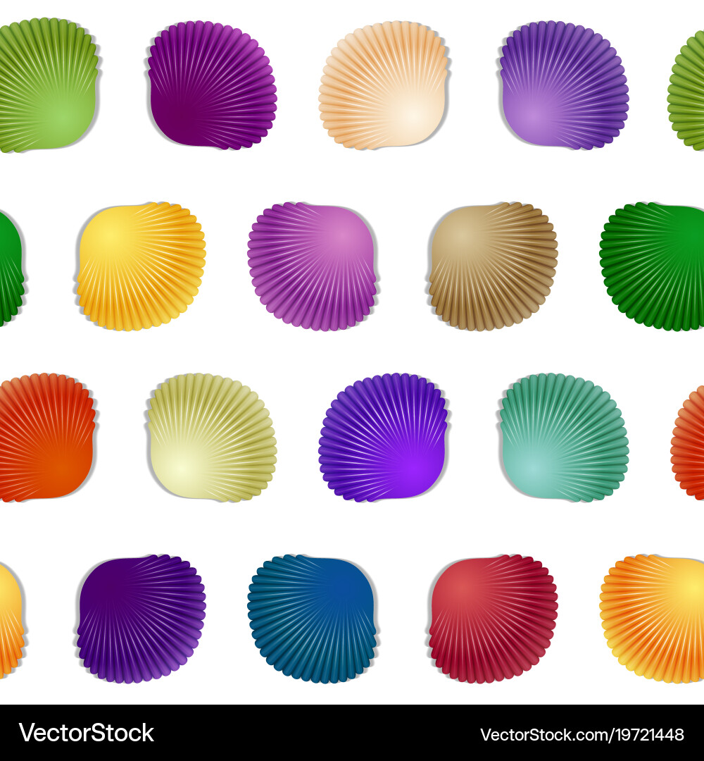 Seamless colorful seashell template background vector image