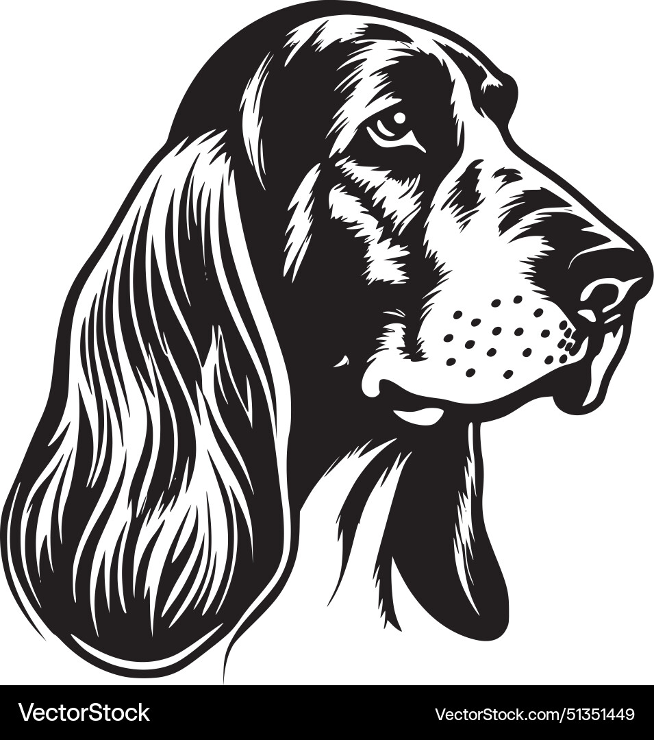 Basset hound - black and white isolated icon Vector Image