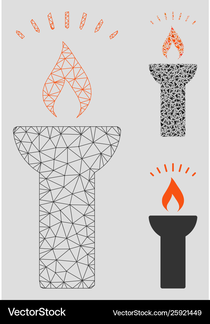 Fire torch light mesh network model Fire torch light mesh network model vector image