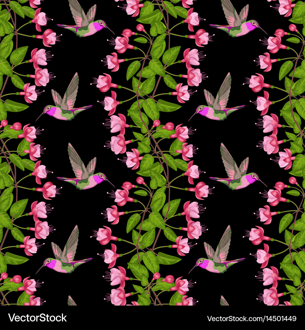 Fuchsia and hummingbird seamless pattern vector image