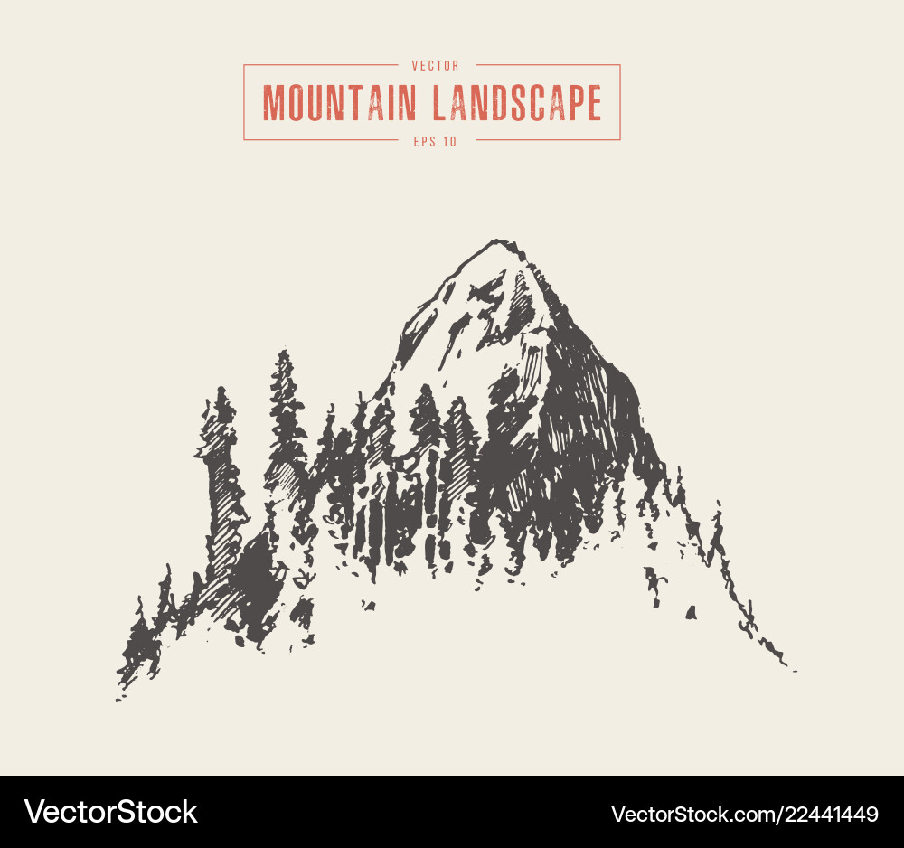 Mountain peak pine forest style hand drawn Mountain peak pine forest style hand drawn vector image