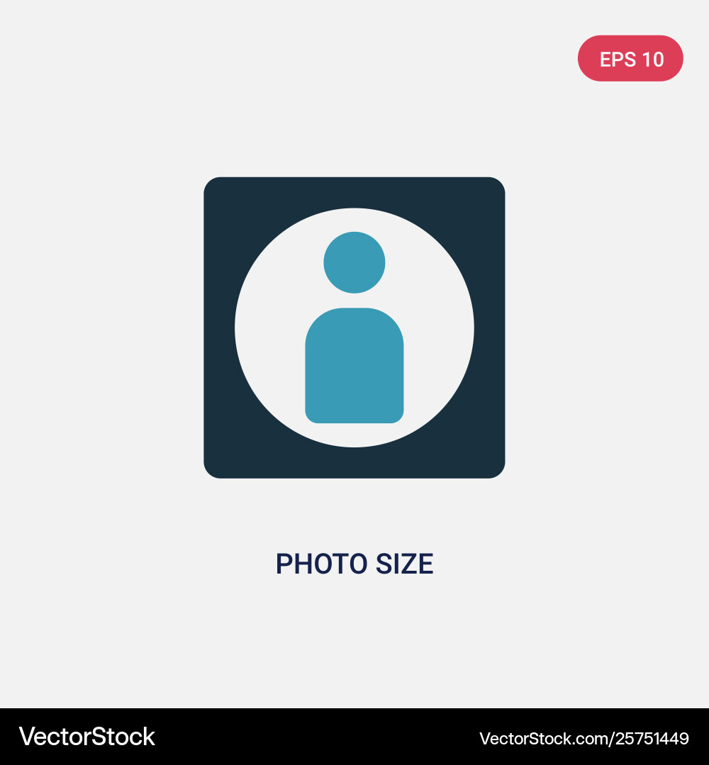 Two color photo size icon from user interface Vector Image