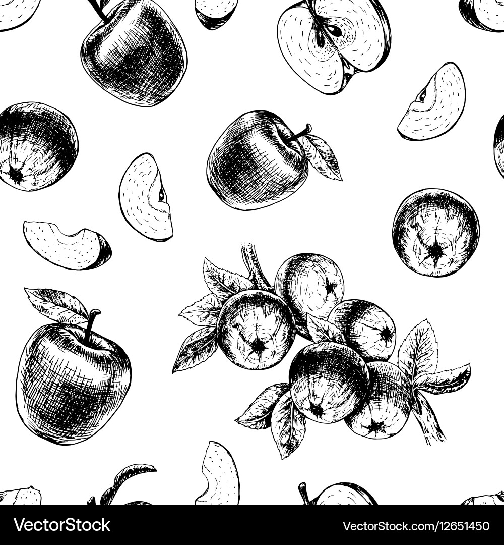 Seamless pattern with apples sketch vector image