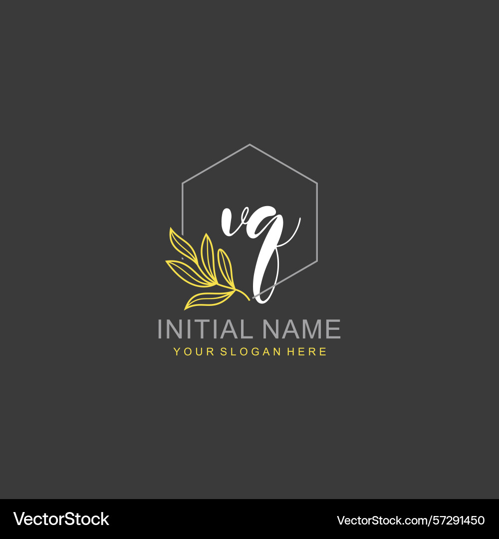 Vq initial logo templates with botanical elements Vector Image