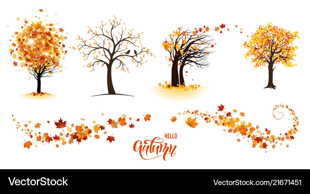 Autumn Leaves and Branches Vector Image