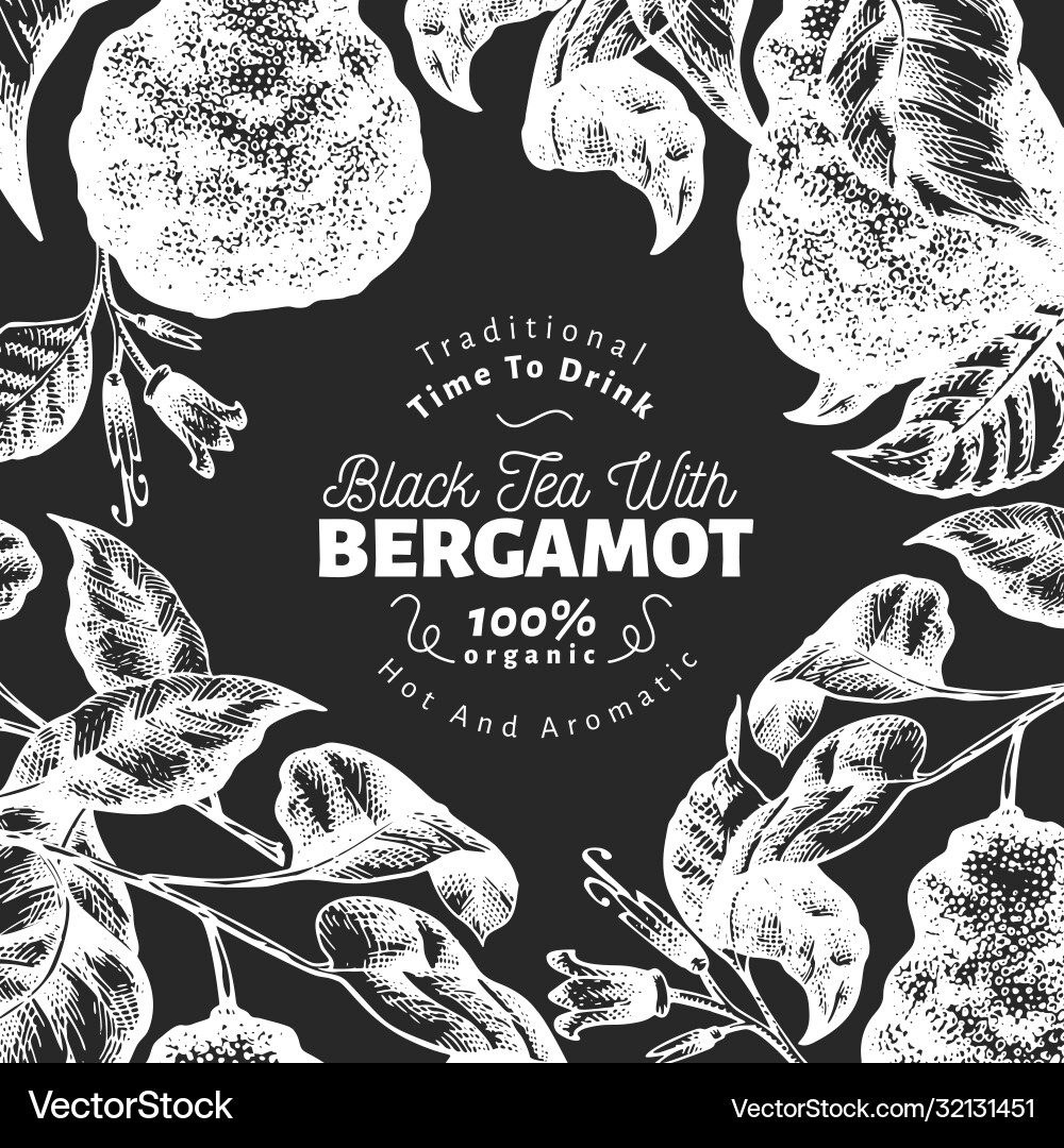 Bergamot branch design template kaffir lime frame Bergamot branch design template kaffir lime frame vector image