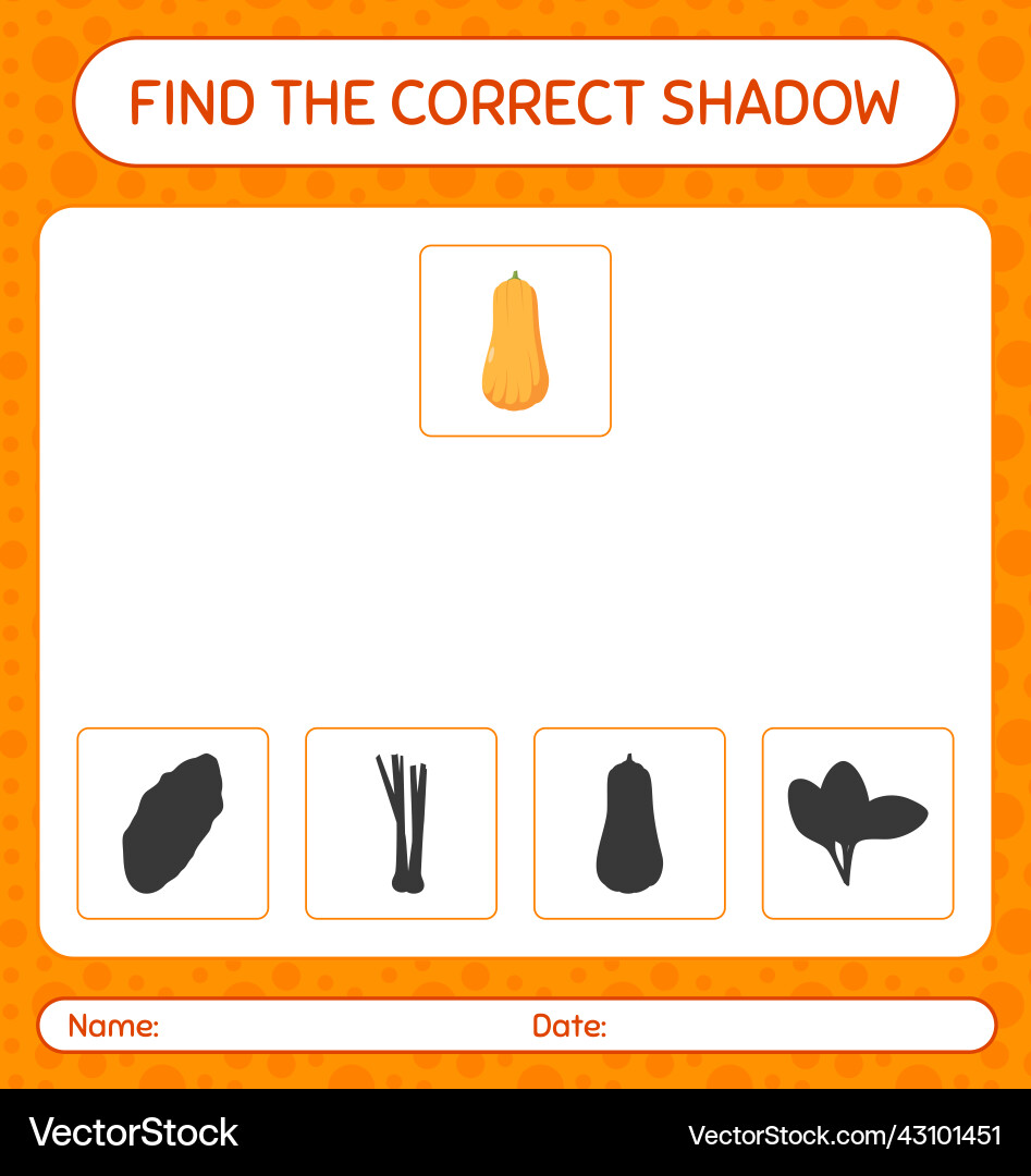 Find the correct shadows game with squash Find the correct shadows game with squash vector image