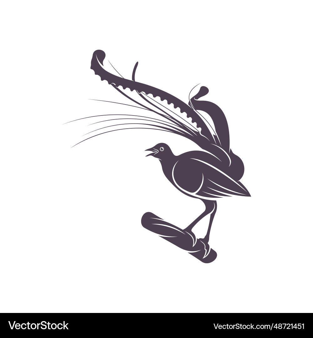 Lyrebird Silhouette - Australian Wildlife Vector Image