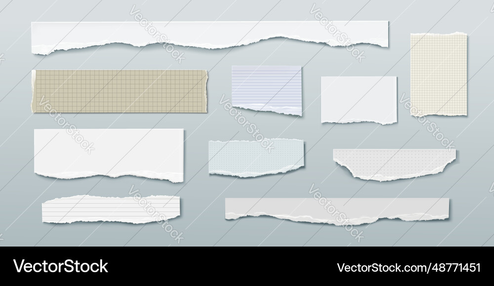 Rip notebook page with torn paper edge Rip notebook page with torn paper edge vector image