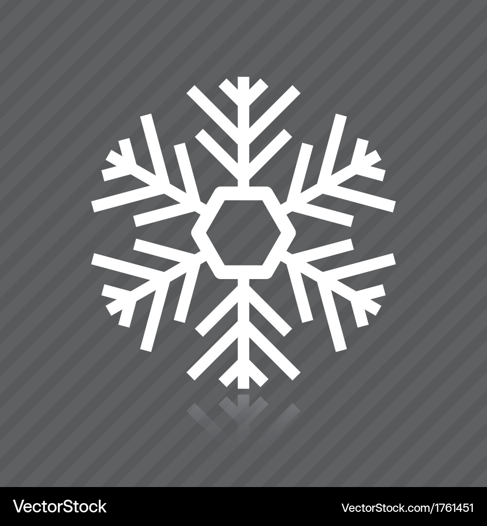 Snowflake vector image
