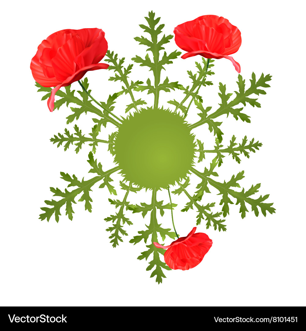 Spring circular background with poppy Vector Image