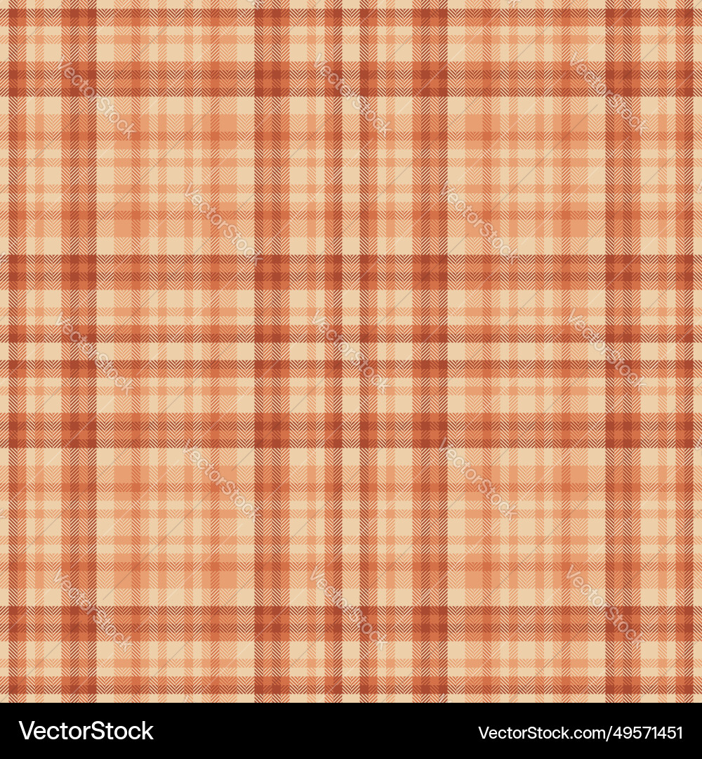 Textile texture pattern of check tartan Vector Image