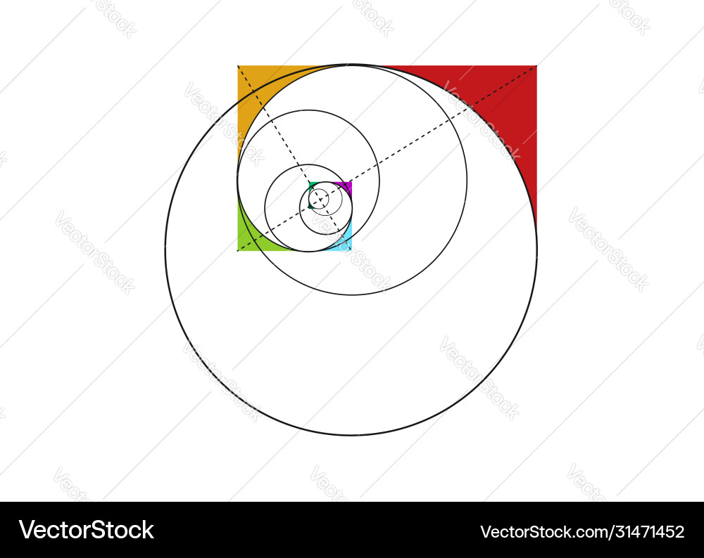 Golden Ratio Circle: Fibonacci Sequence vector image